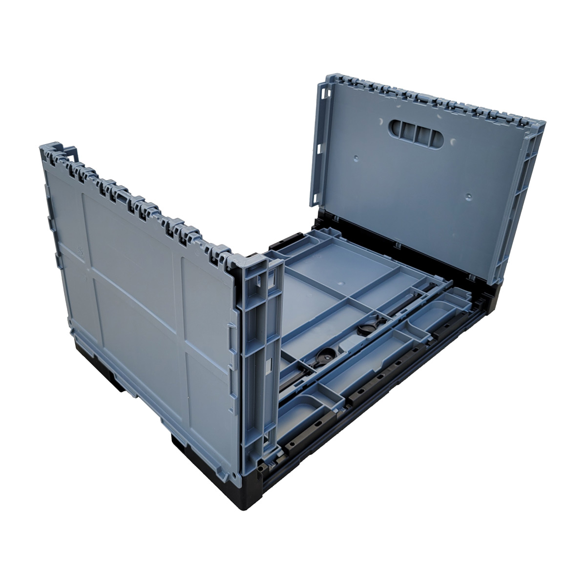 CCS37-241614-d