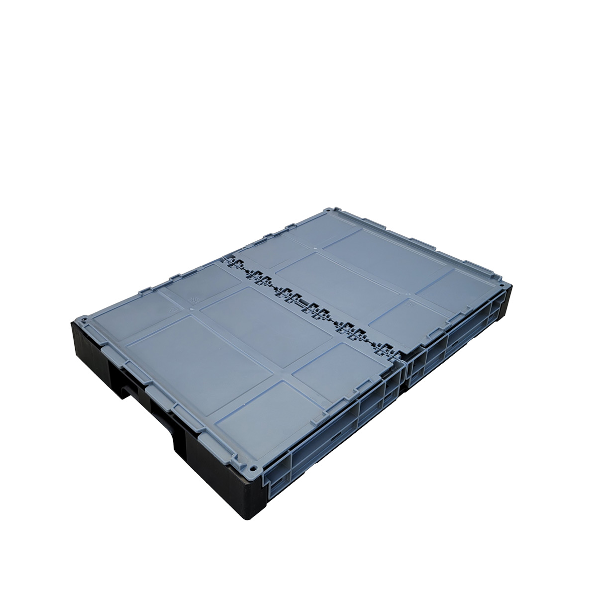 CCS37-241614-f