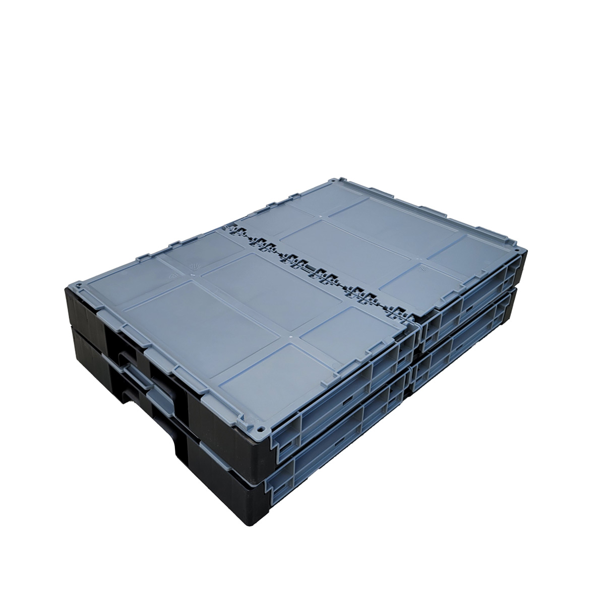 CCS37-241614-g