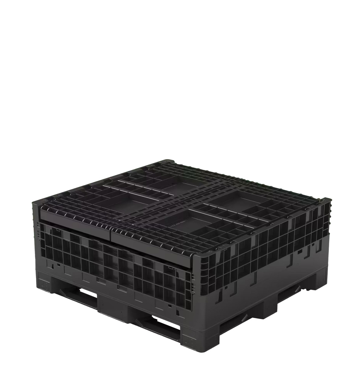 CC02-484542-d