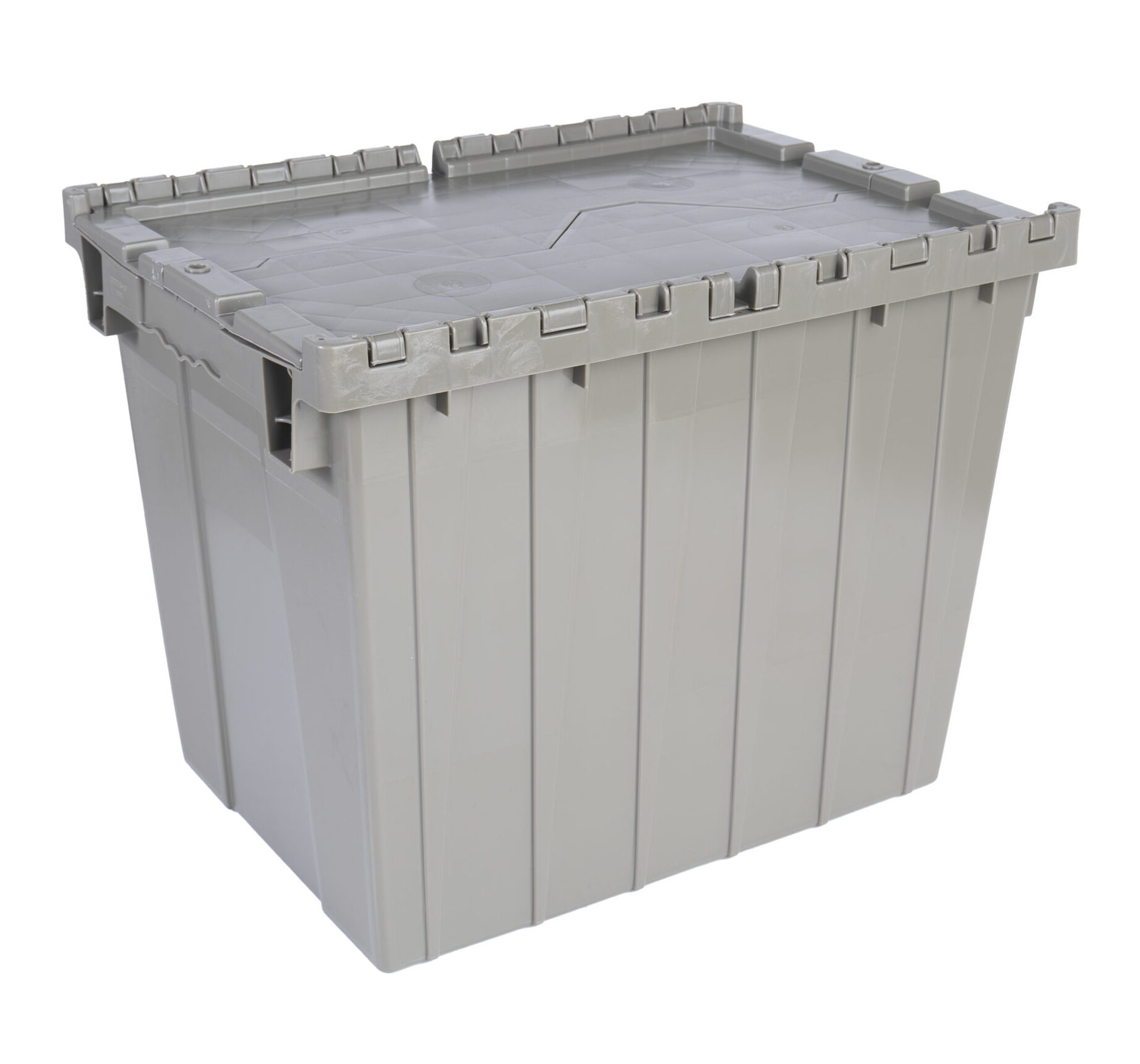 Attached lid container for sale