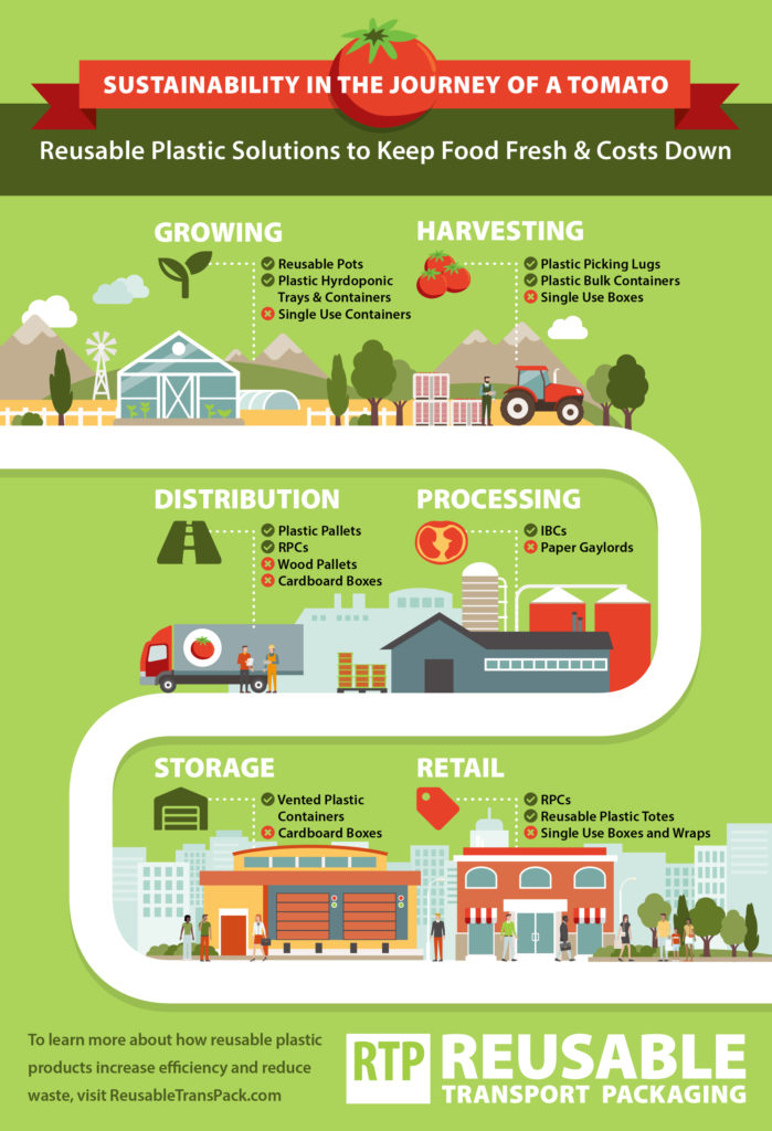 Food Packaging Supply Chain for Tomatoes Infographic
