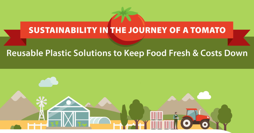 Sustainability in the Journey of a Tomato — Reusable Plastic Solutions to Keep Food Fresh and Costs Down