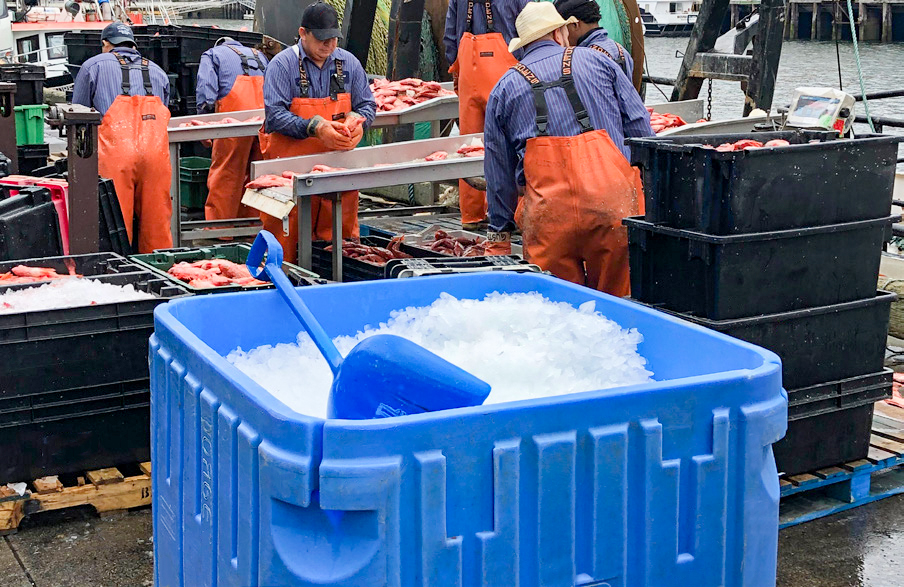 Insulated Bulk Containers In Stock Reusable Transport Packaging