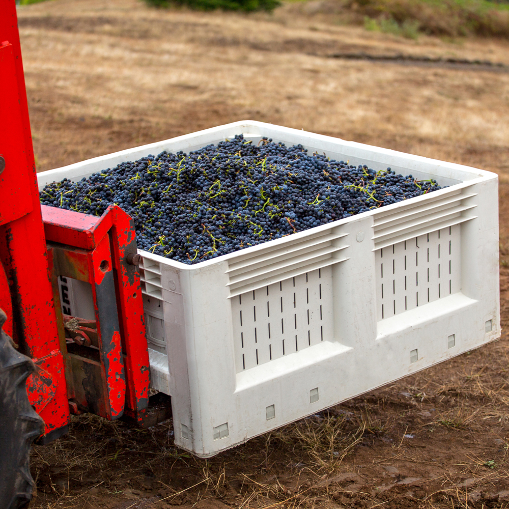 Harvesting Applications Reusable Transport Packaging Inc.