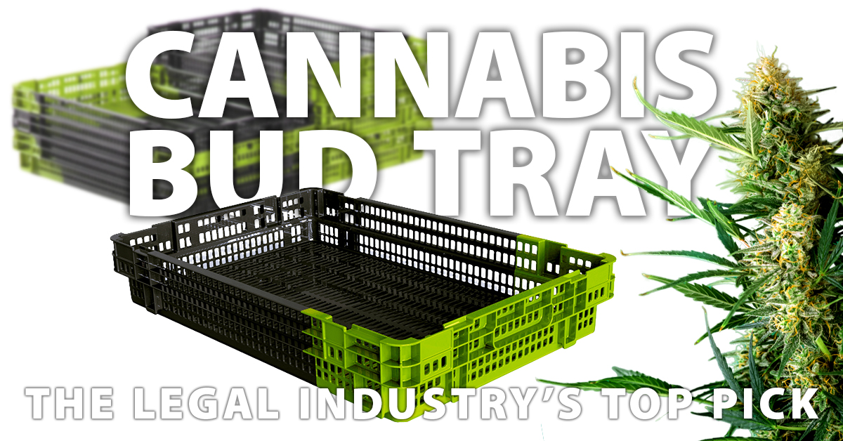 Cannabis Bud Tray Top Product