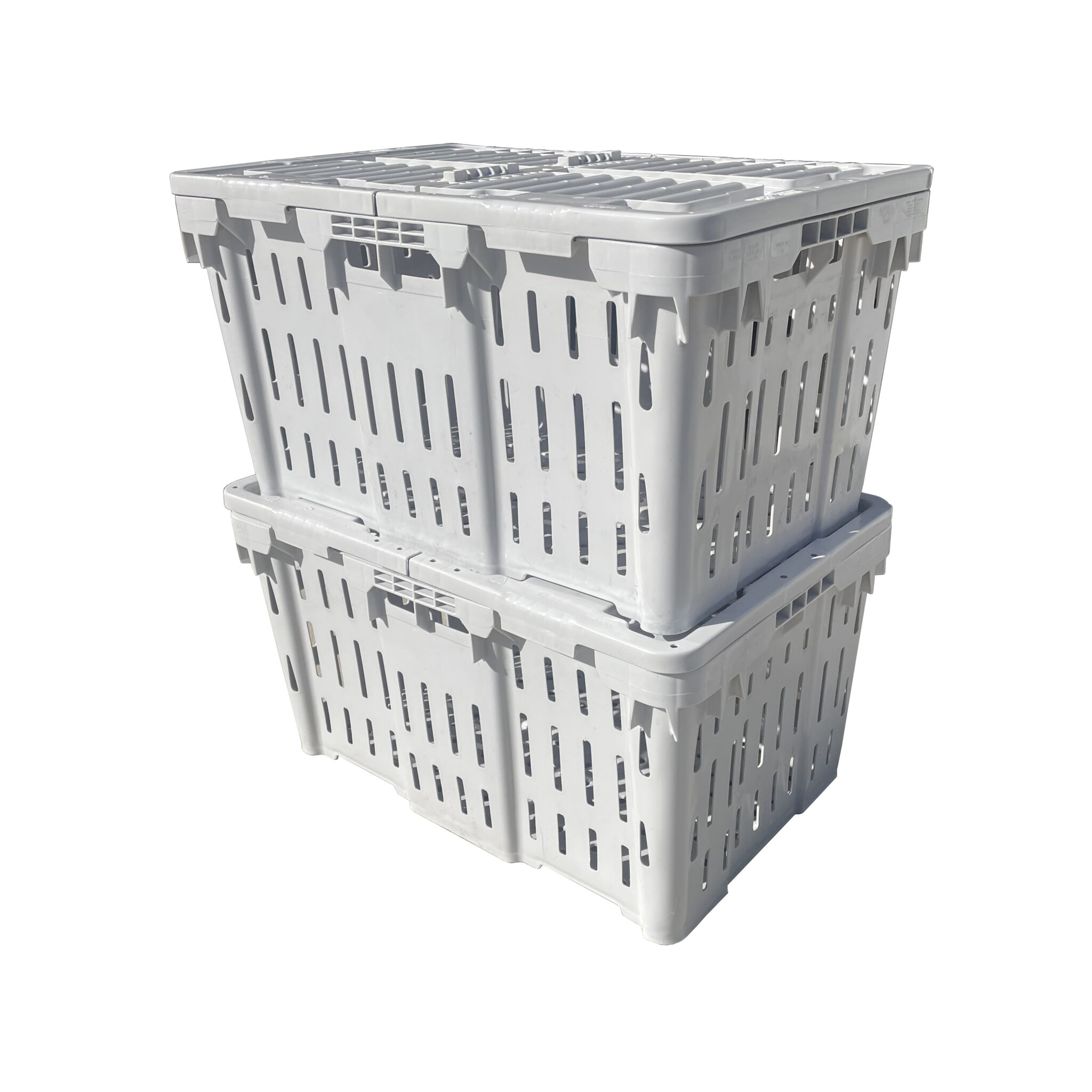 AGV14-241613-L-c