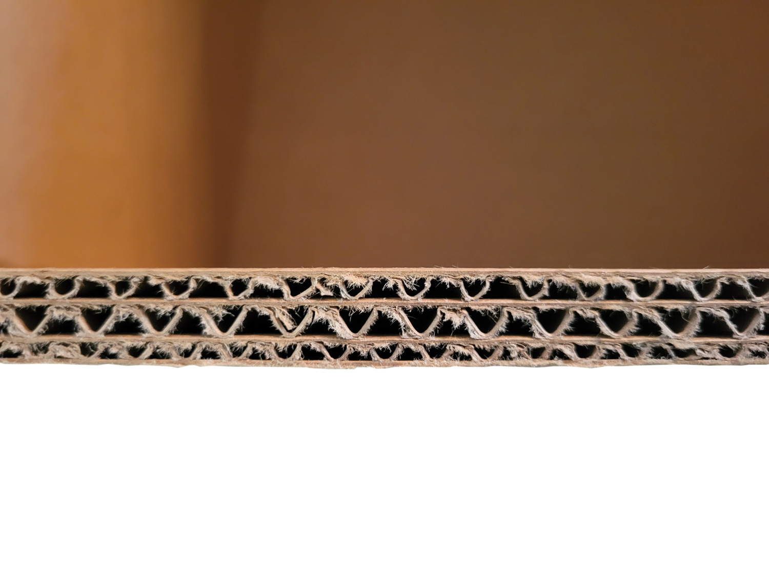 SP103-453929-g