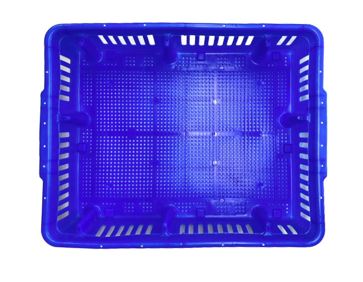 AGV106-252006-b