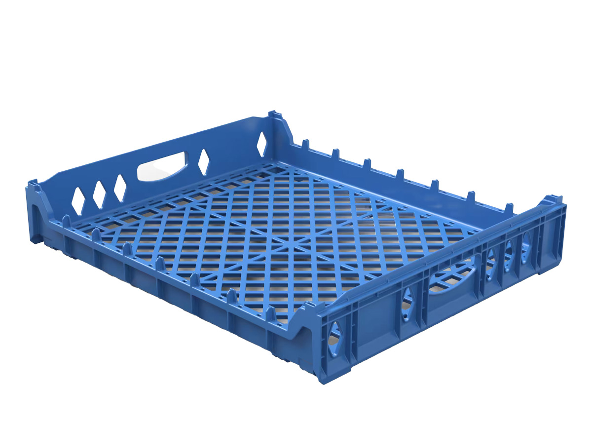BTV02-262204-1-b