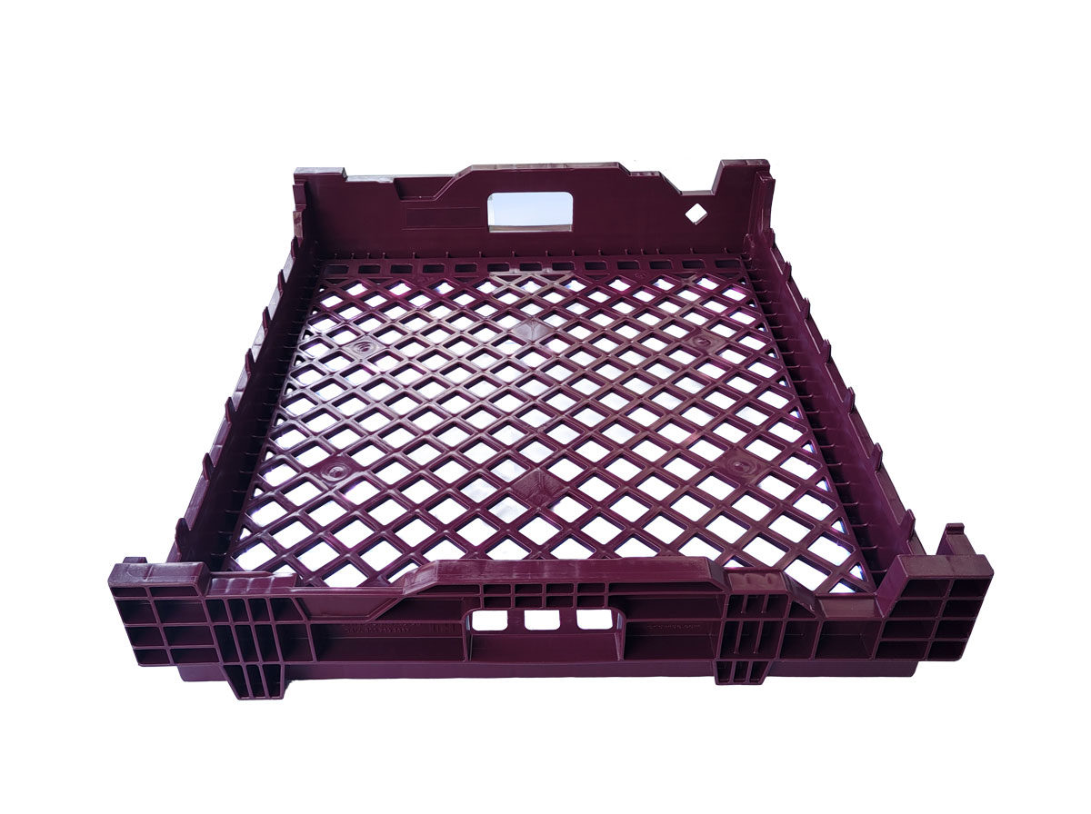 BTV02-262205-g
