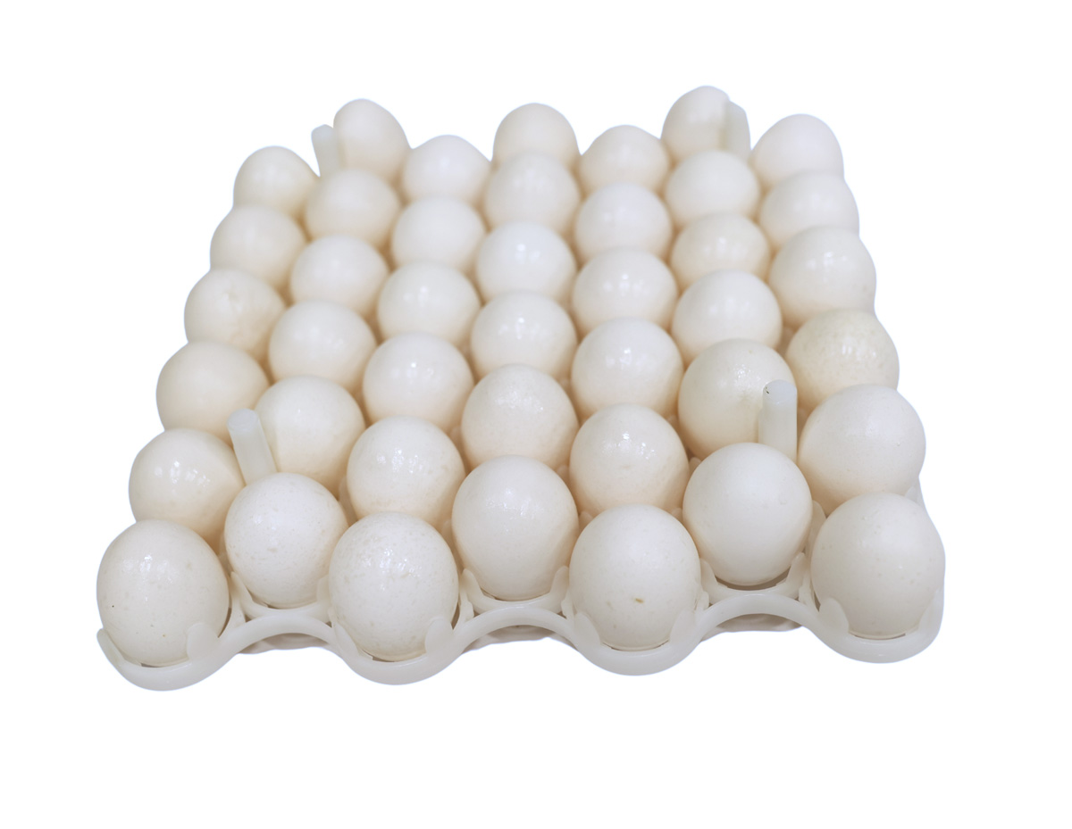 12 x 12 x 02- Egg Flat