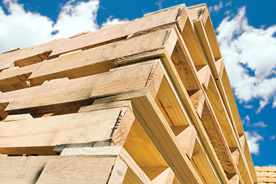 Wood Pallets Stacked