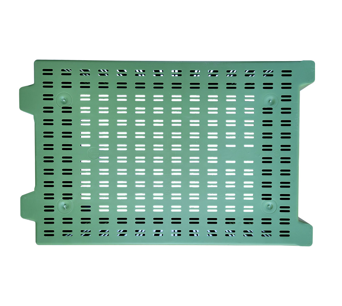 DCSNS37-241611-V-g