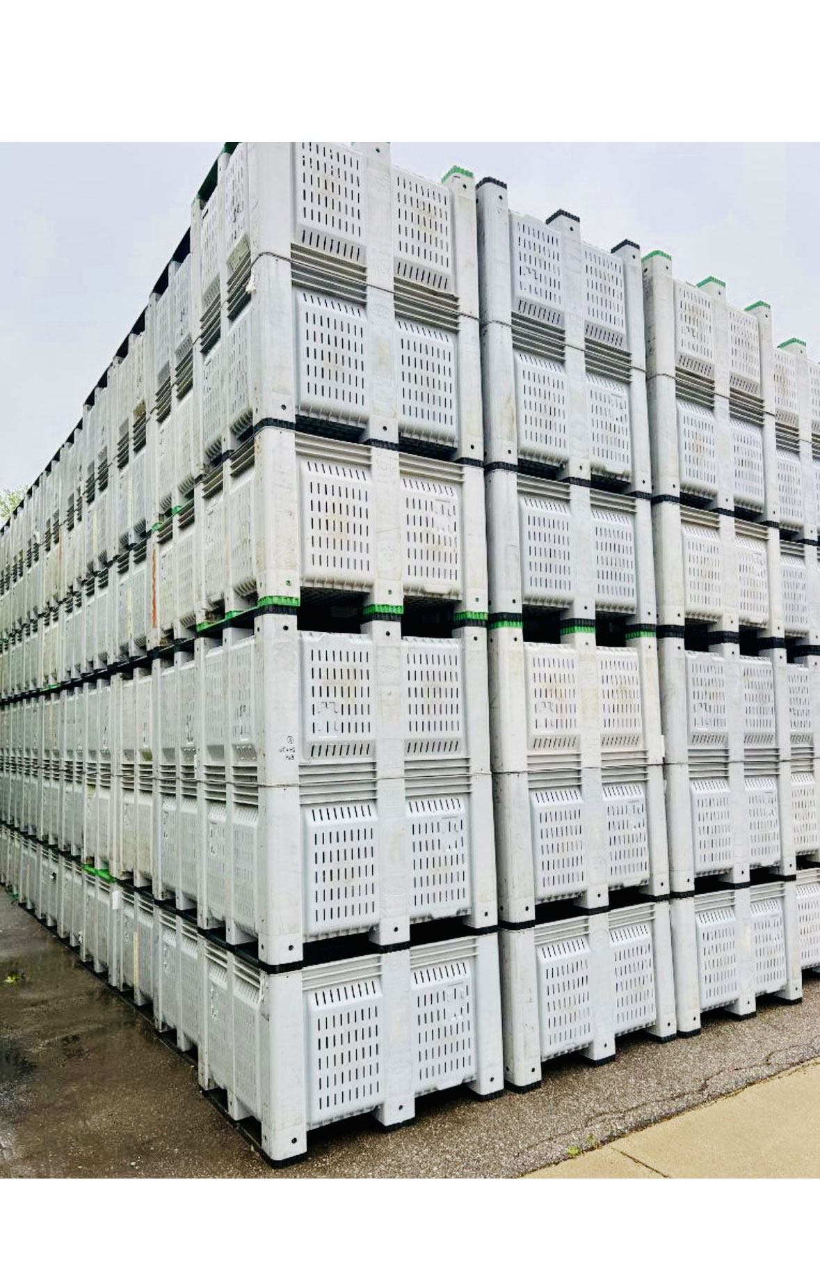 Used Vented Harvest Bins