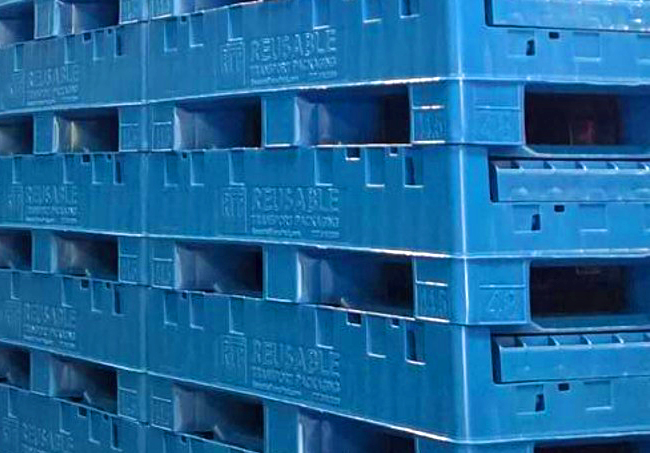 Collapsible Bulk Container - Blue G2s