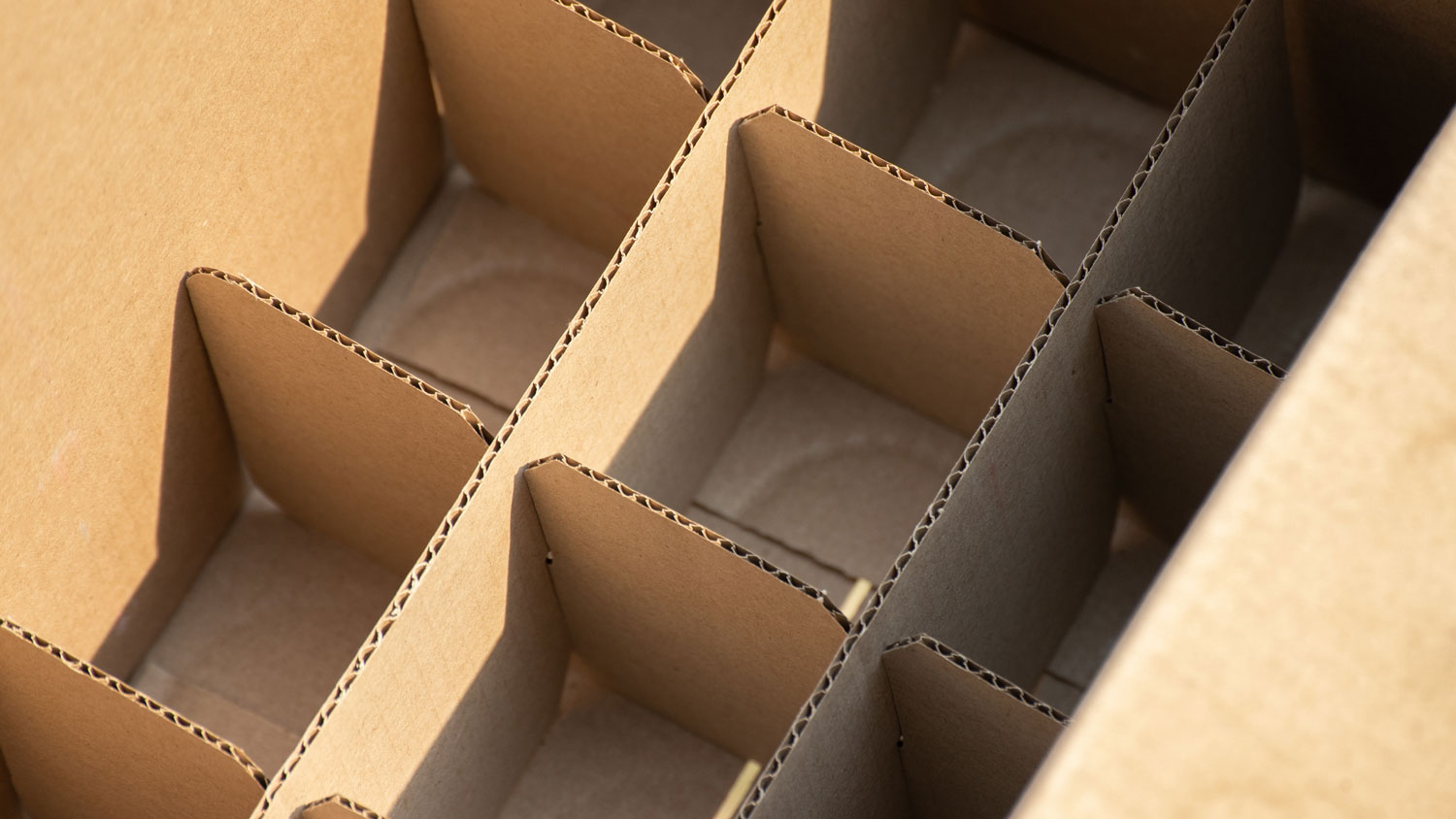 Corrugated cardboard box interior with cell dividers for separating individual products