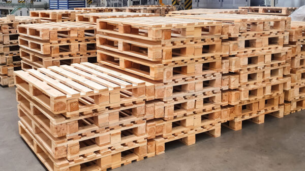 Rows of new wooden pallets stacked on a warehouse floor before their first shipment